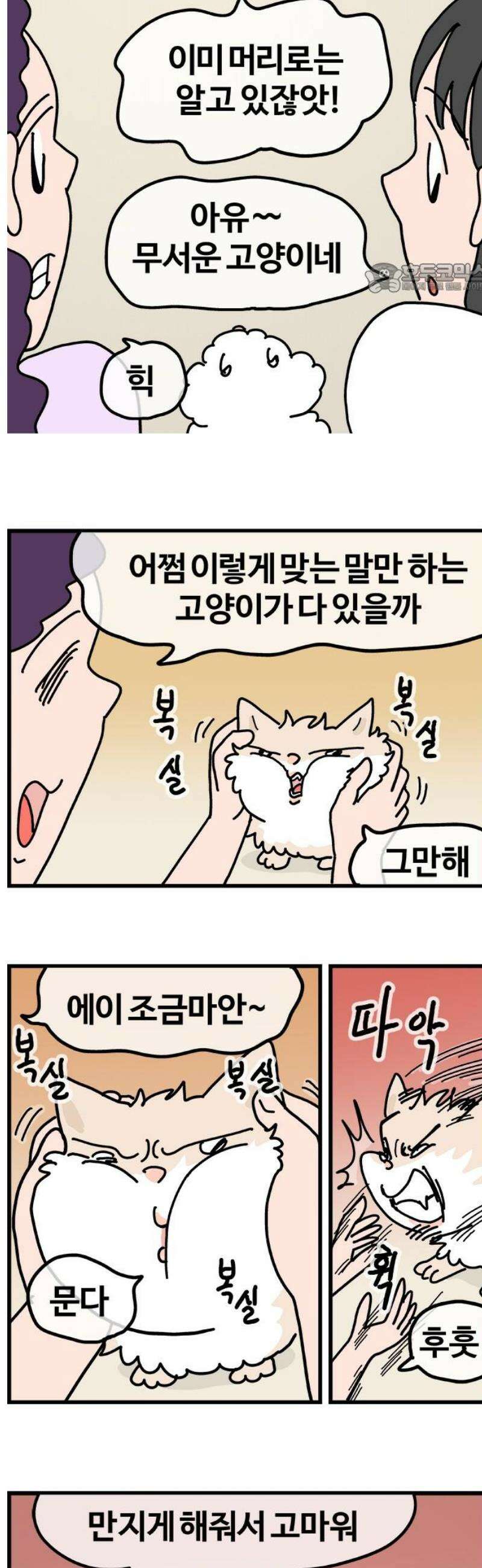 천사개와 악마캣 2부 4화 잠은 어려워 2