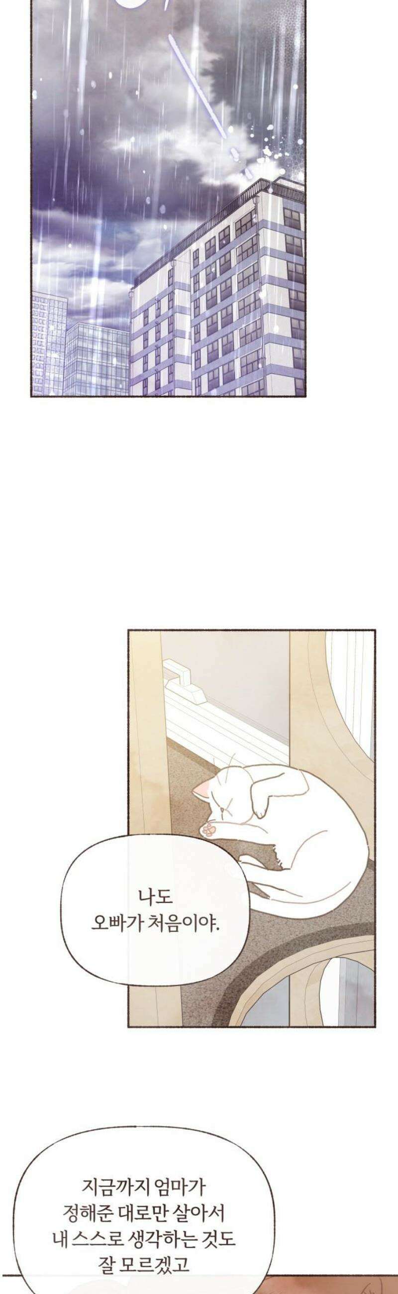 감정전이 60화 스무 살, 첫 연애 (10) 5