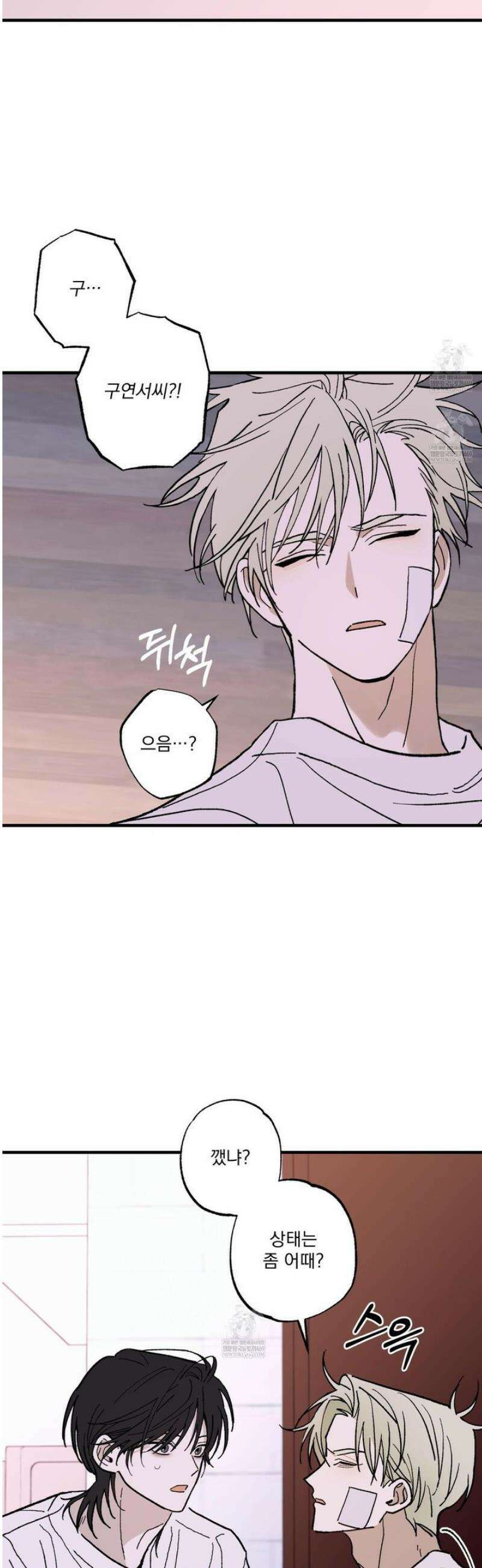 가족간계증명서 13화 2