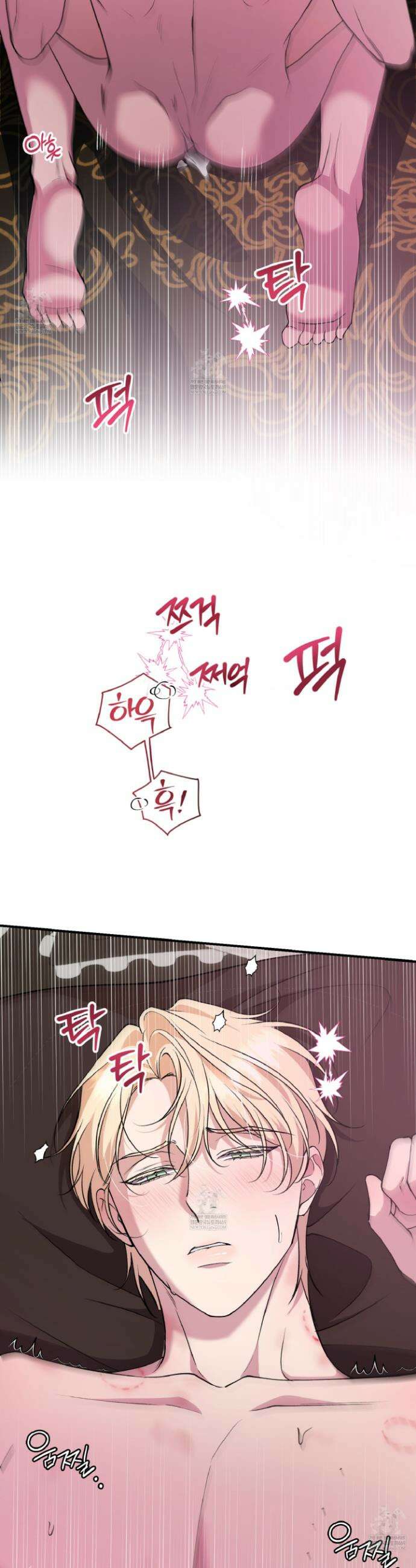 오윈 백작의 절륜 노예 15화 3