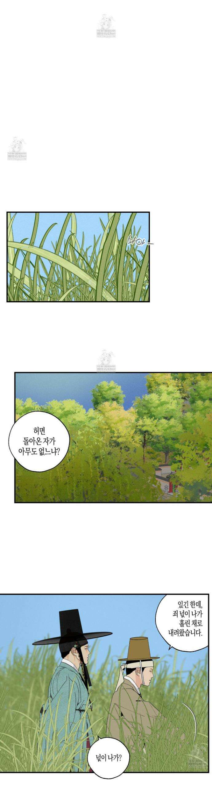 주의 평화 특별편 8