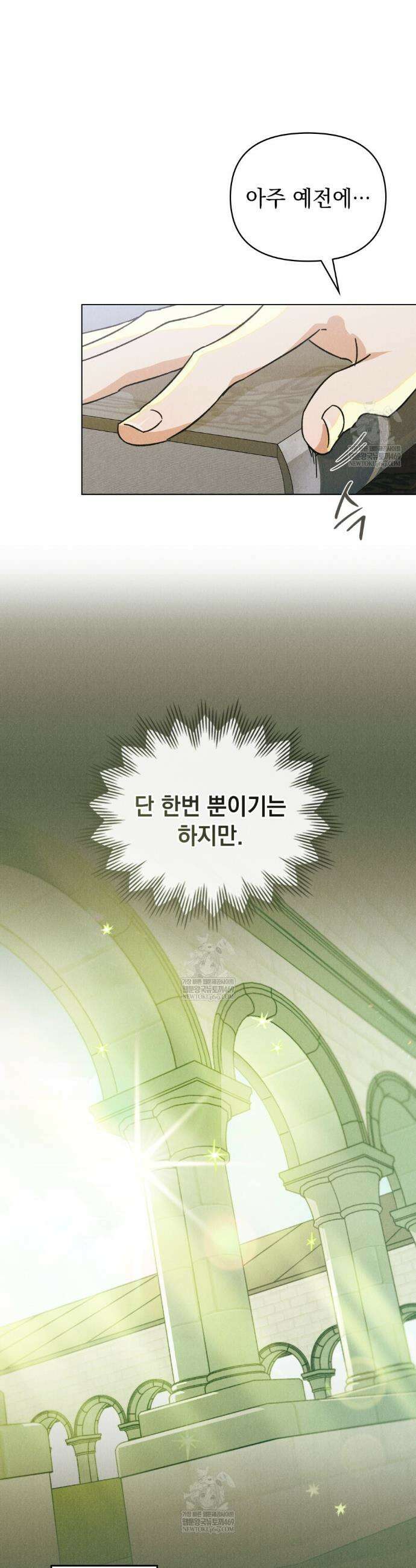 안개를 삼킨 나비 5화 5