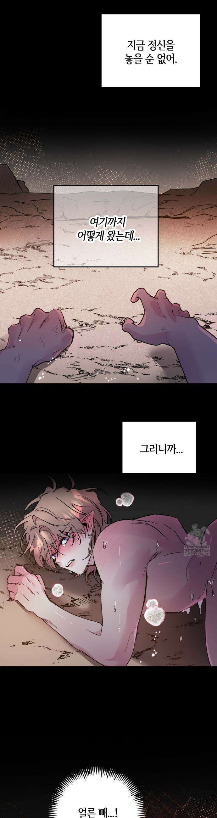 다크폴 78화 4