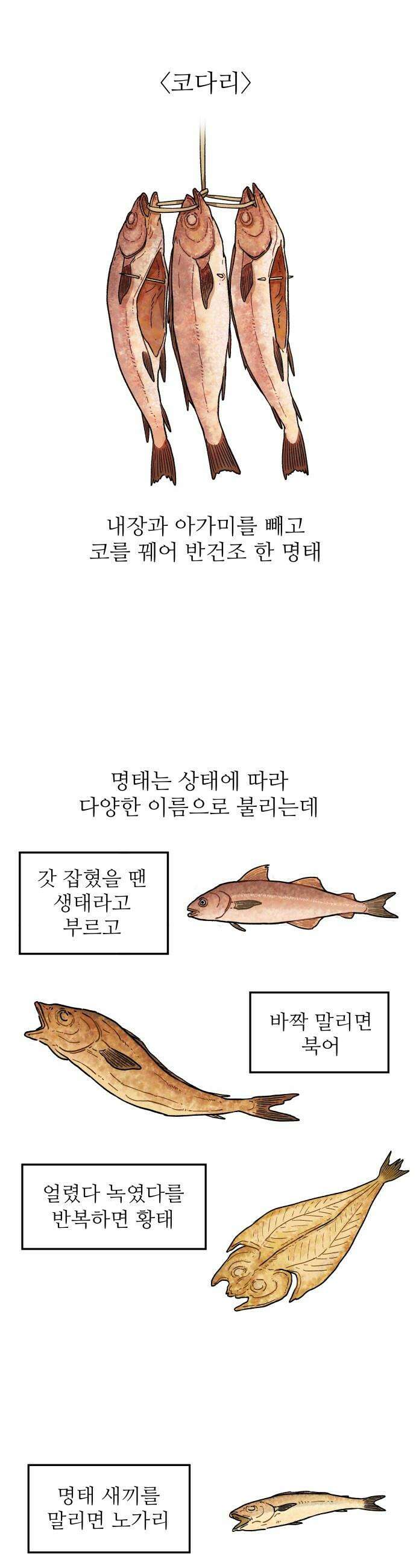 먹는 인생2 - 22화 코다리찜 6