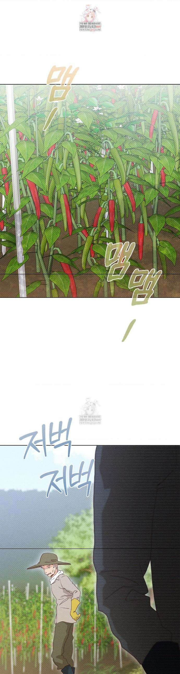 꼬추밭 그 사나이 18화 1
