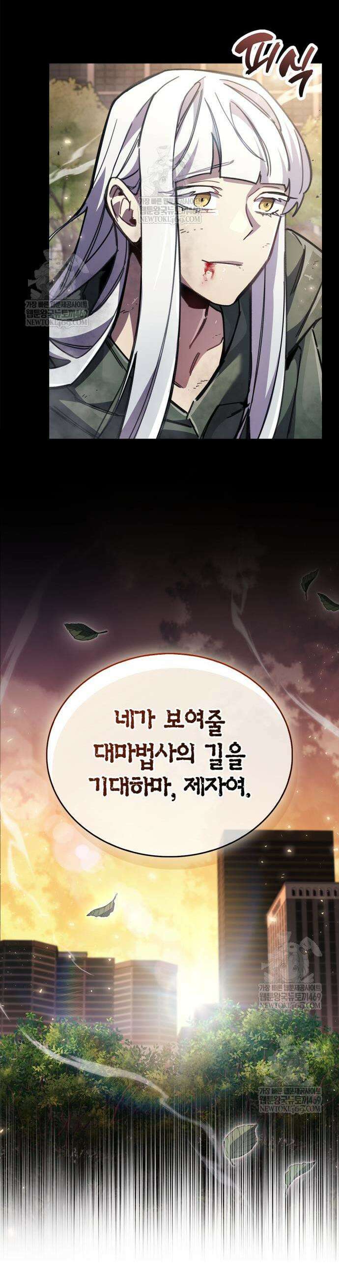 플레이어가 과거를 숨김 110화 10