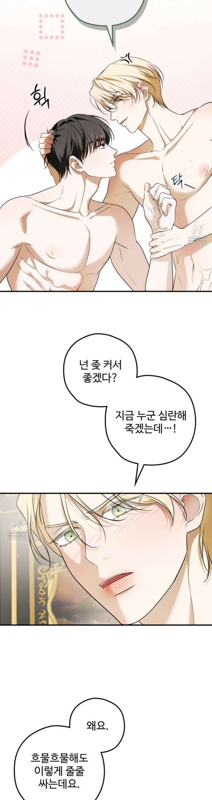 오윈 백작의 절륜 노예 24화 7
