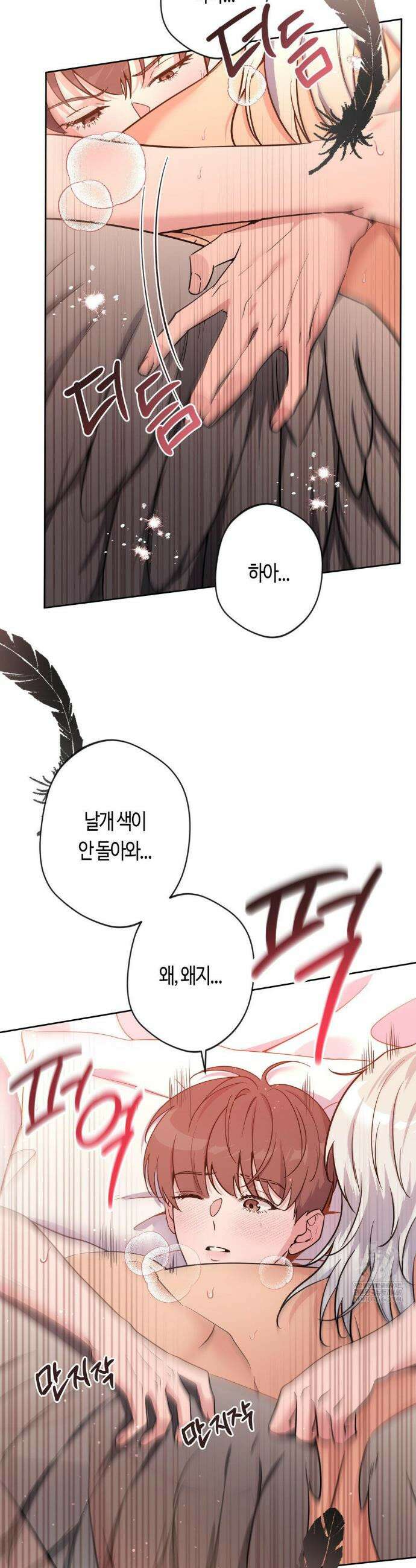엔젤키스 54화 3