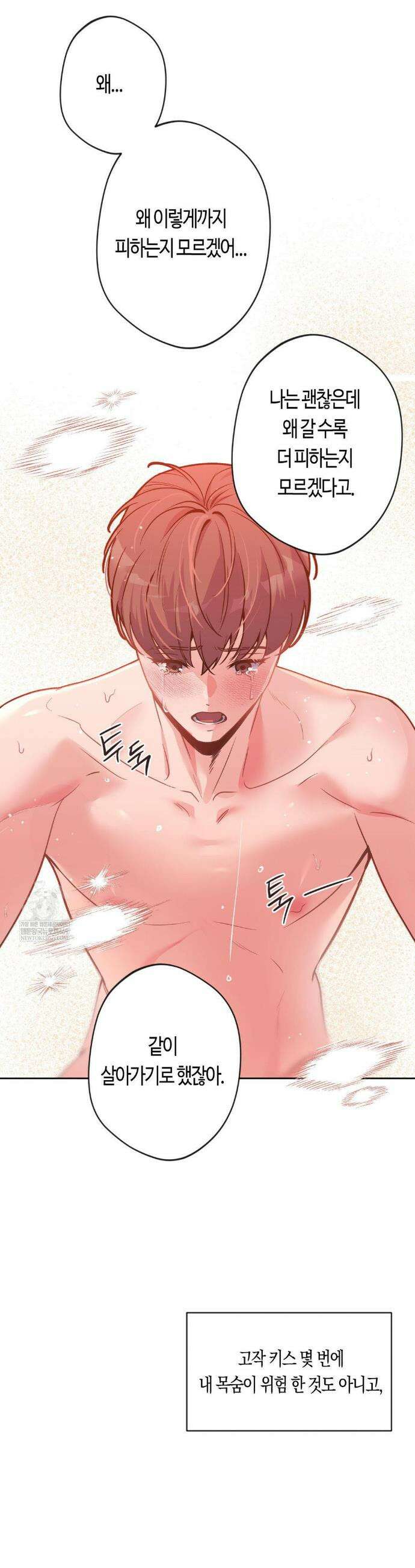 엔젤키스 54화 8