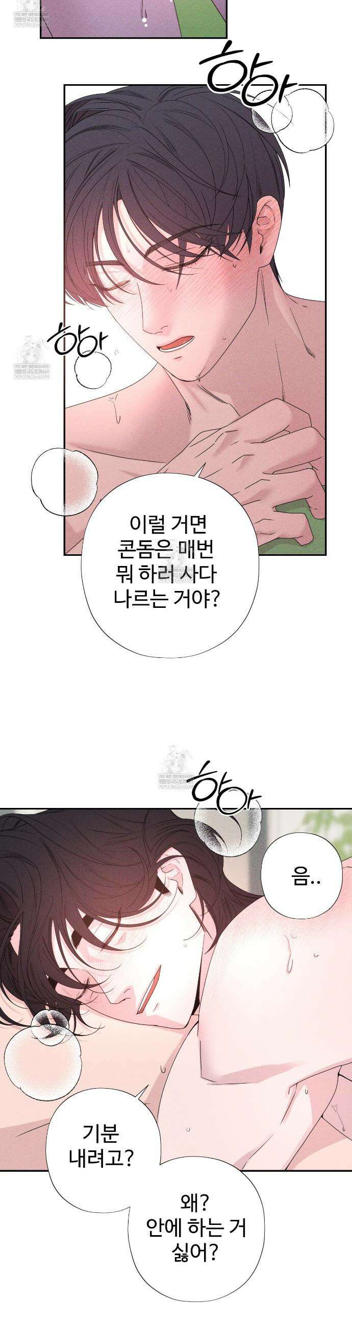 텍미하이(Take me high) 71화 4