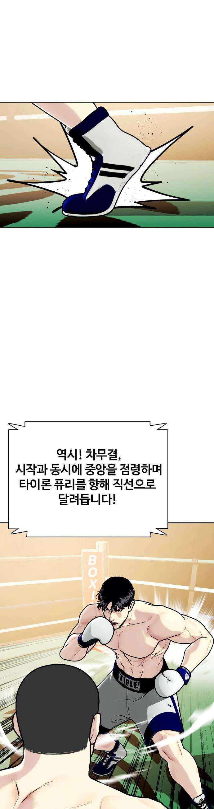 왕따가 격투기를 너무 잘함 - 158화． 무체급 챔피언전 10