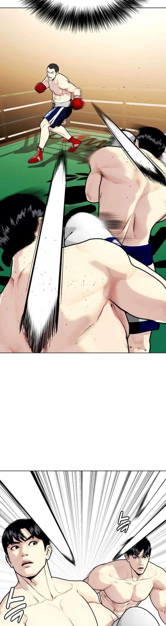 왕따가 격투기를 너무 잘함 - 158화． 무체급 챔피언전 13
