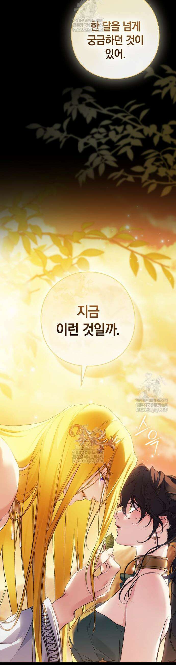 여신들을 위하여 : 다프네를 위하여 35화 2