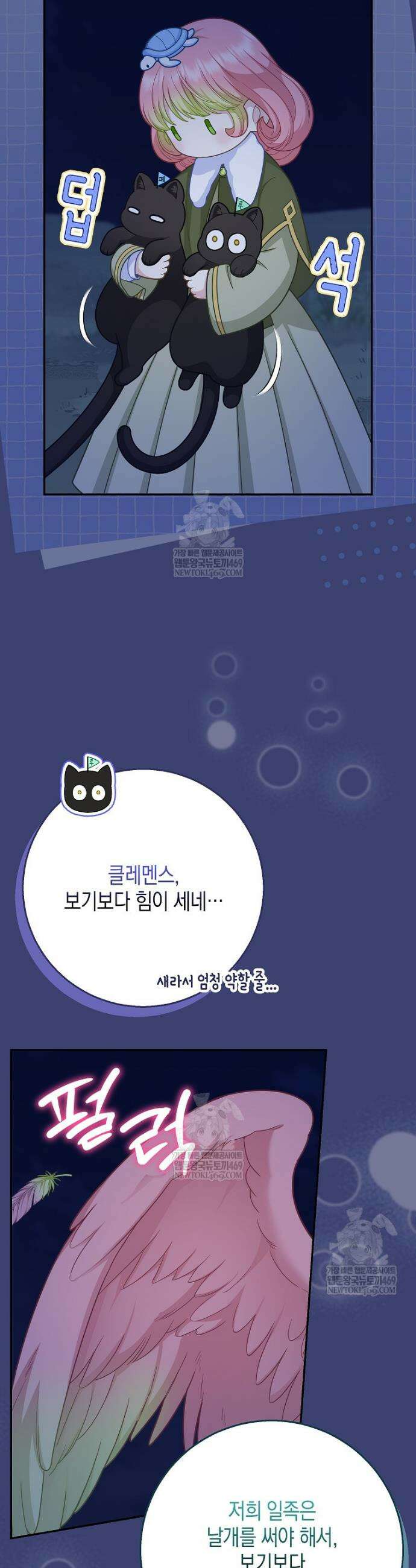 흑표 가문의 설표 아기님 60화 11