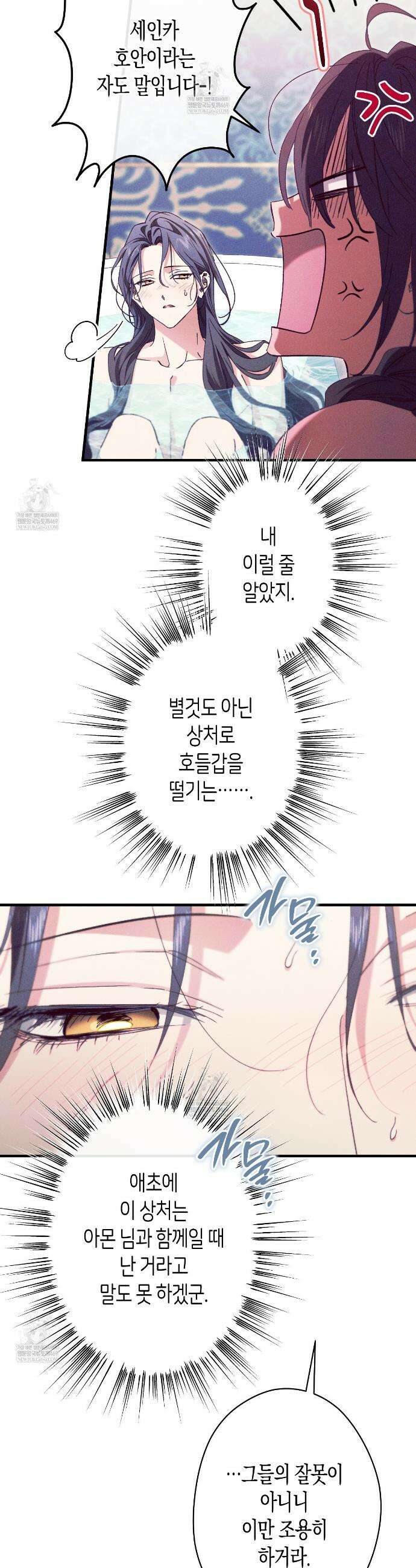 석류를 삼킨 뱀 43화 6