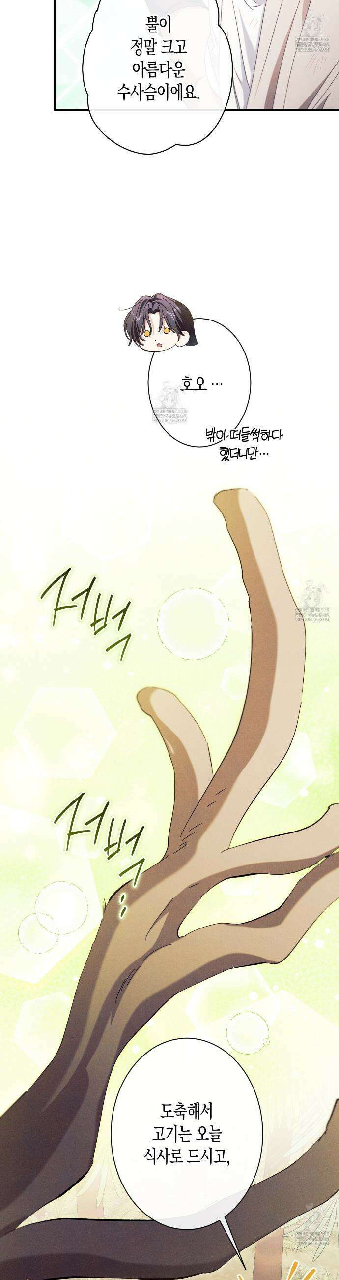 석류를 삼킨 뱀 43화 11