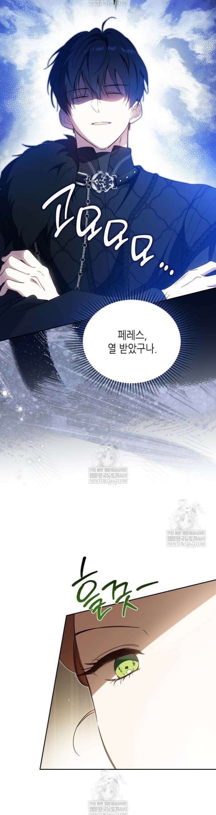 이번 생은 가주가 되겠습니다 213화 15