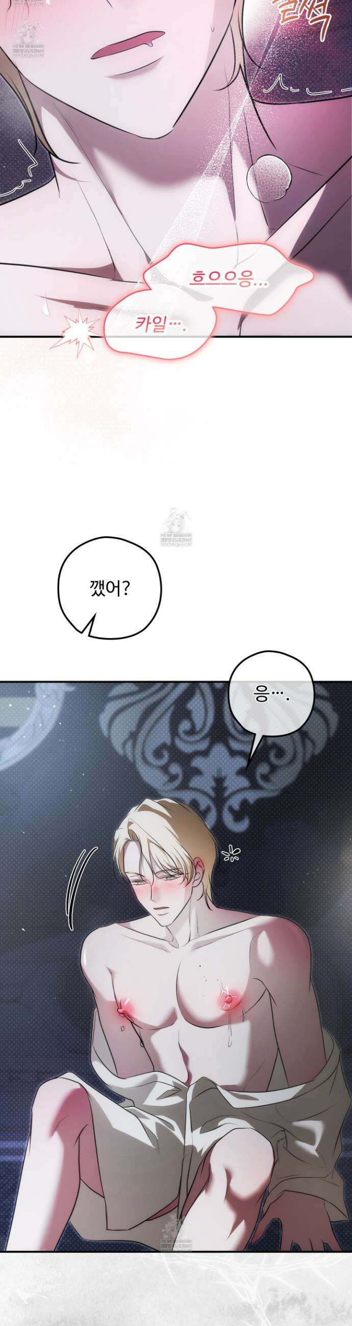 오윈 백작의 절륜 노예 31화 8