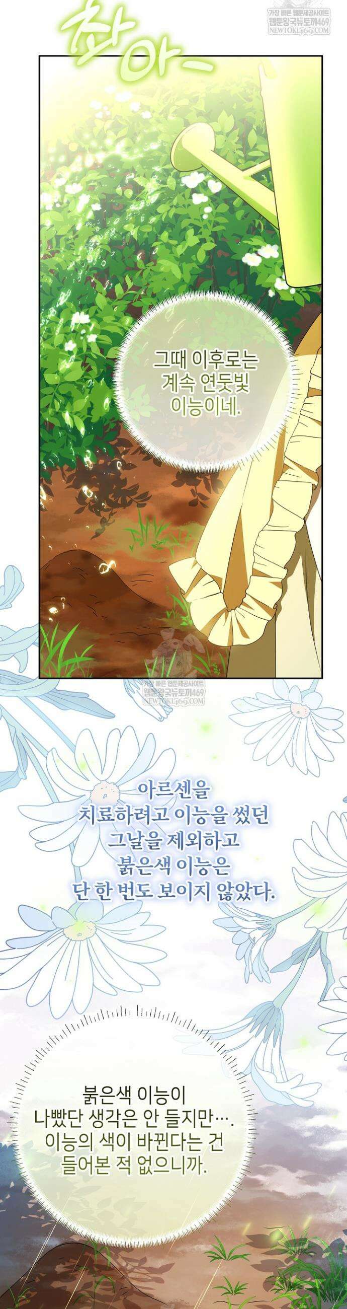늑대 저택의 사랑받는 새아가 69화 11