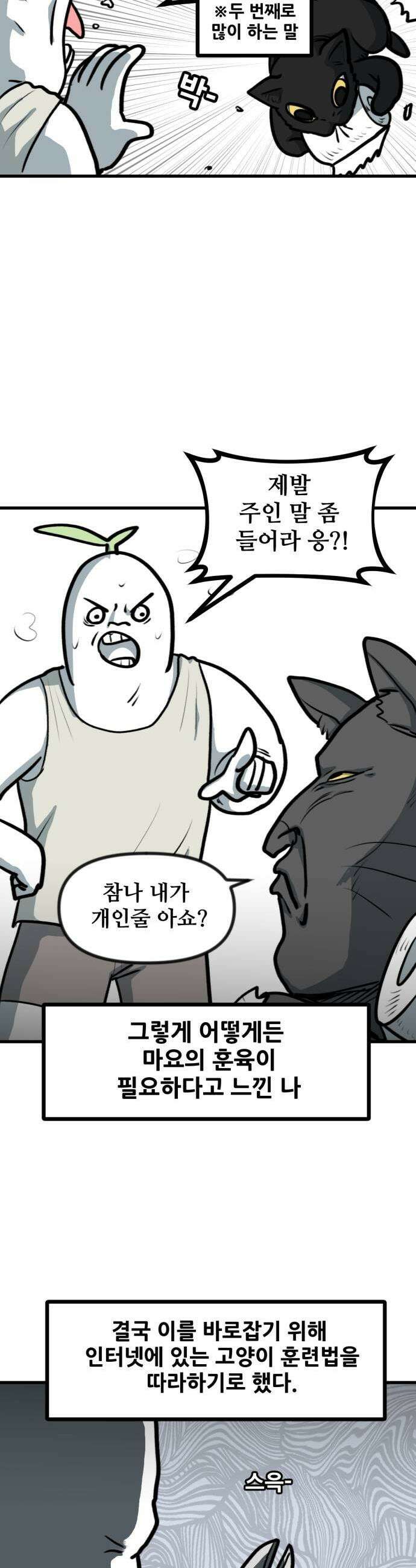 방구석 재민이 28화 고양이 훈련기 5
