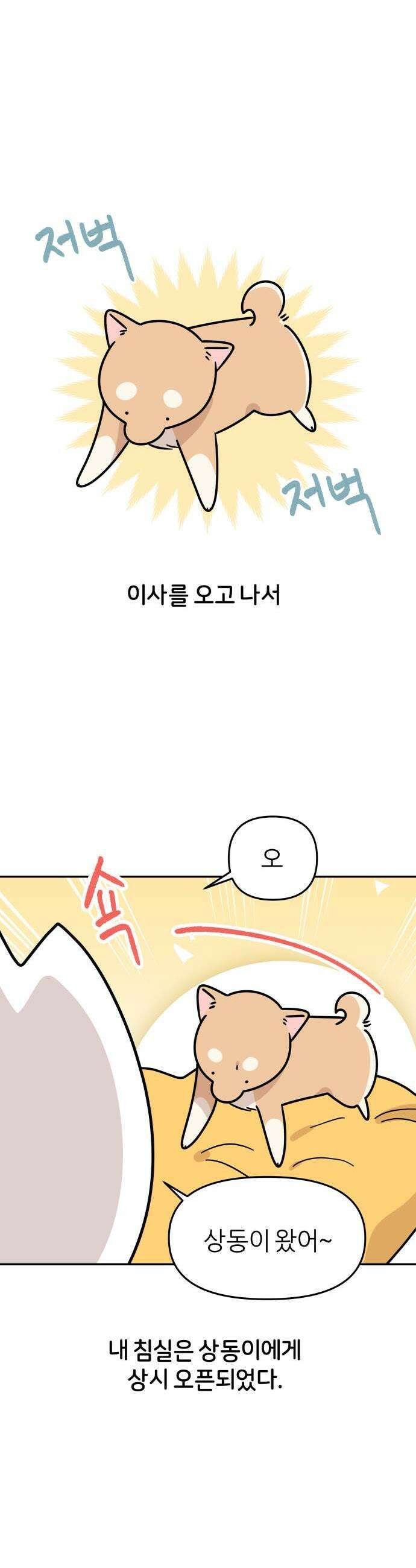 시바, 만만치 않다 85화 왜 그러고 자 1