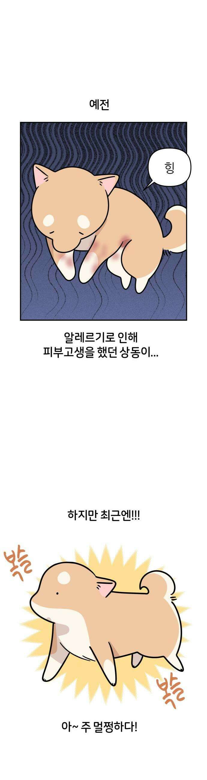 시바, 만만치 않다 90화 간식 1