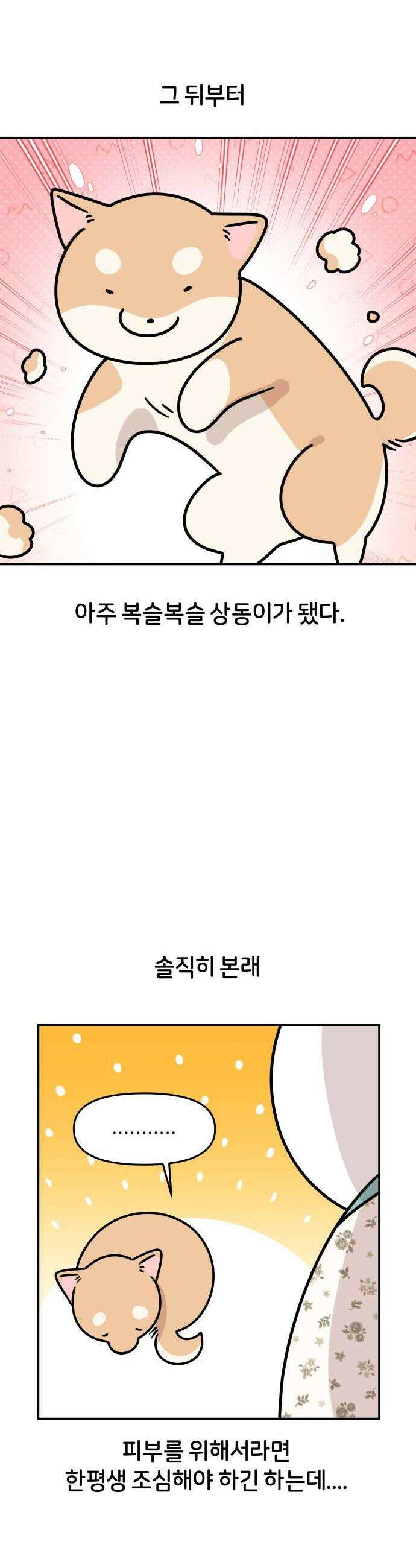 시바, 만만치 않다 90화 간식 4