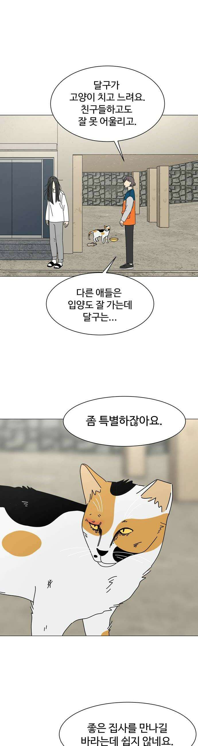 이상한 나라의 솔 15화 달구와 짜구 6