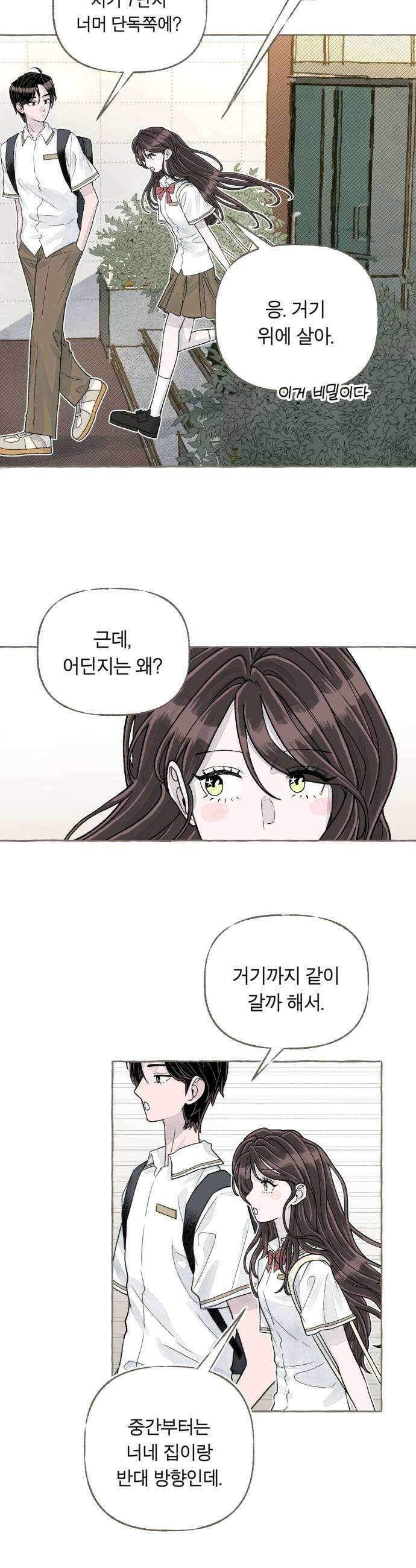 아이캣치유 07 카레라이스 43