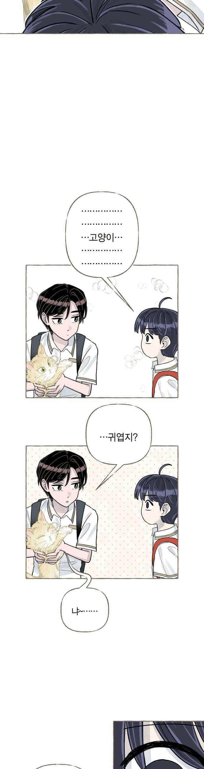 아이캣치유 07 카레라이스 55