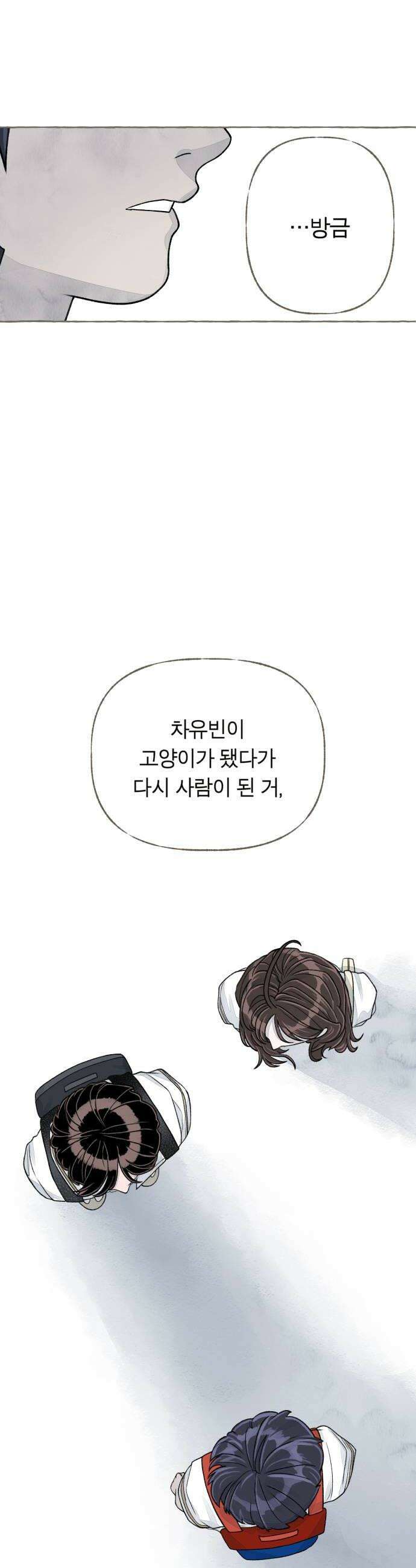 아이캣치유 07 카레라이스 58
