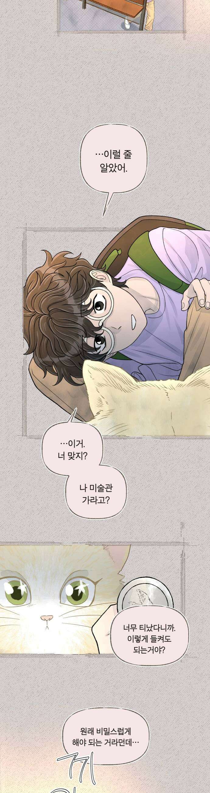 아이캣치유 17 점 선 면 5