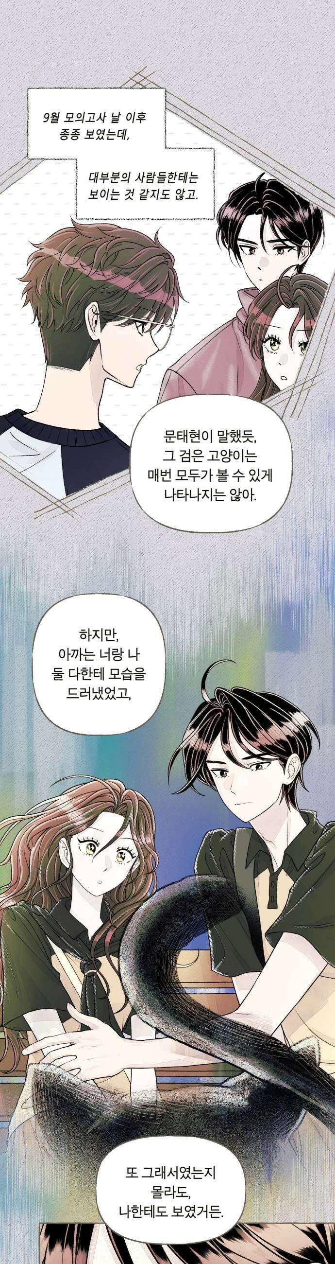 아이캣치유 17 점 선 면 31
