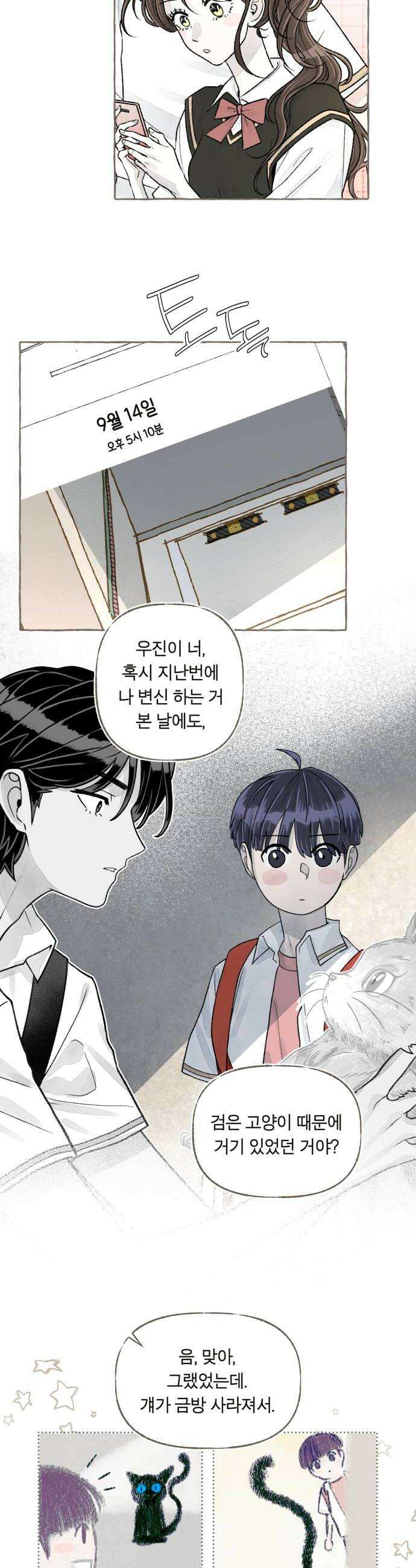 아이캣치유 17 점 선 면 48