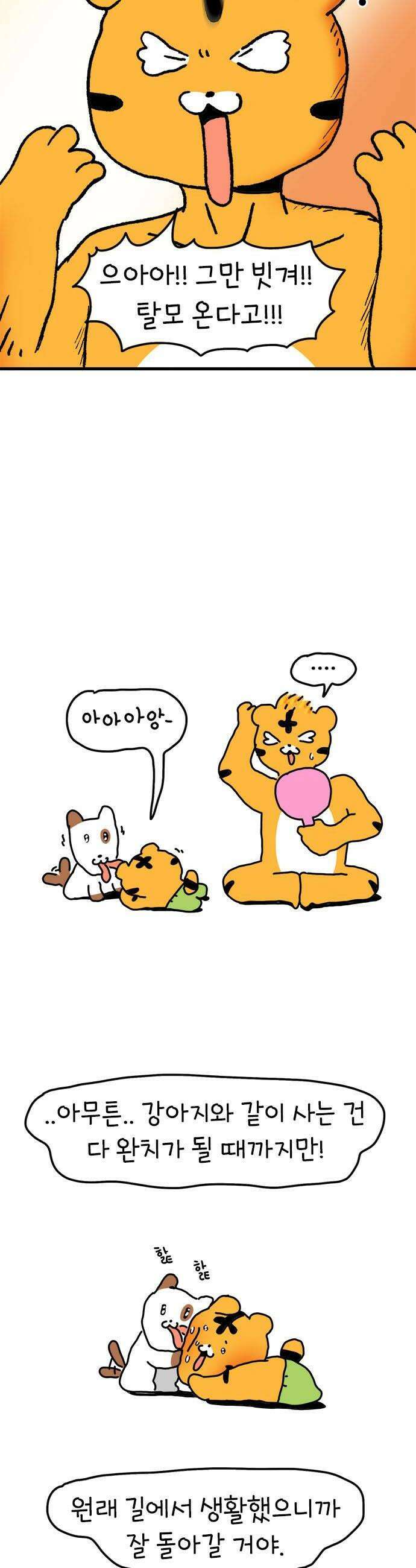 소심한 호랭이 코코 77화 고구마 집을 지어요 1 6
