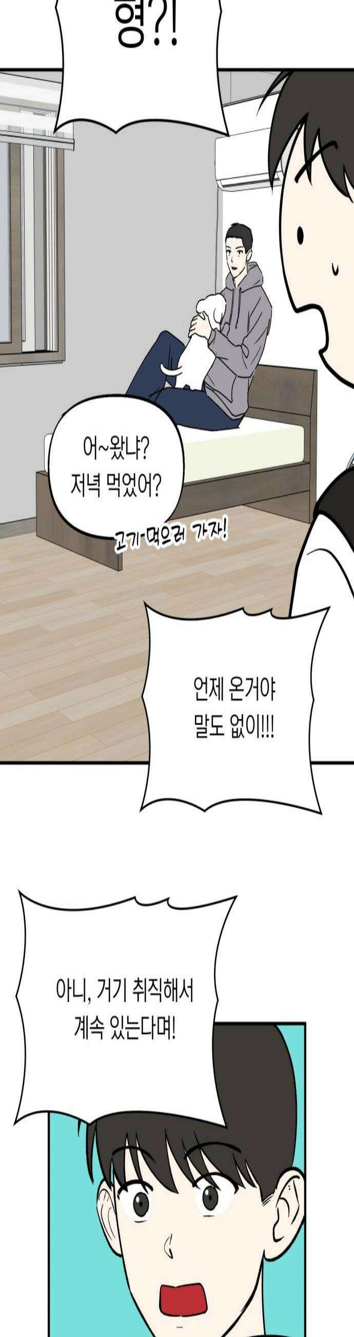 성북구 비둘기 이헌서 80화 3