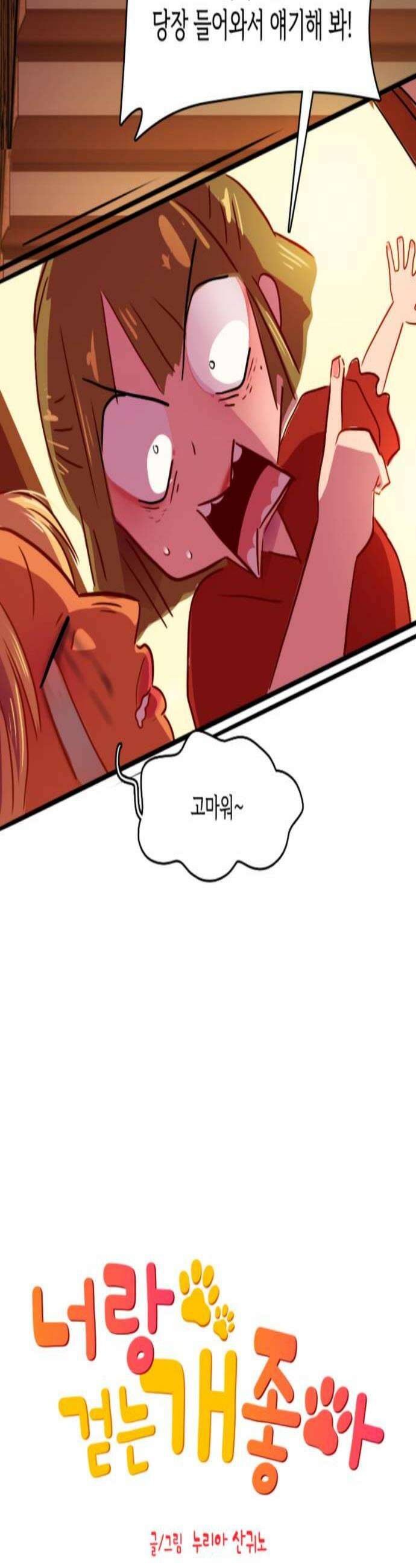 너랑 걷는 개 좋아 49화 2