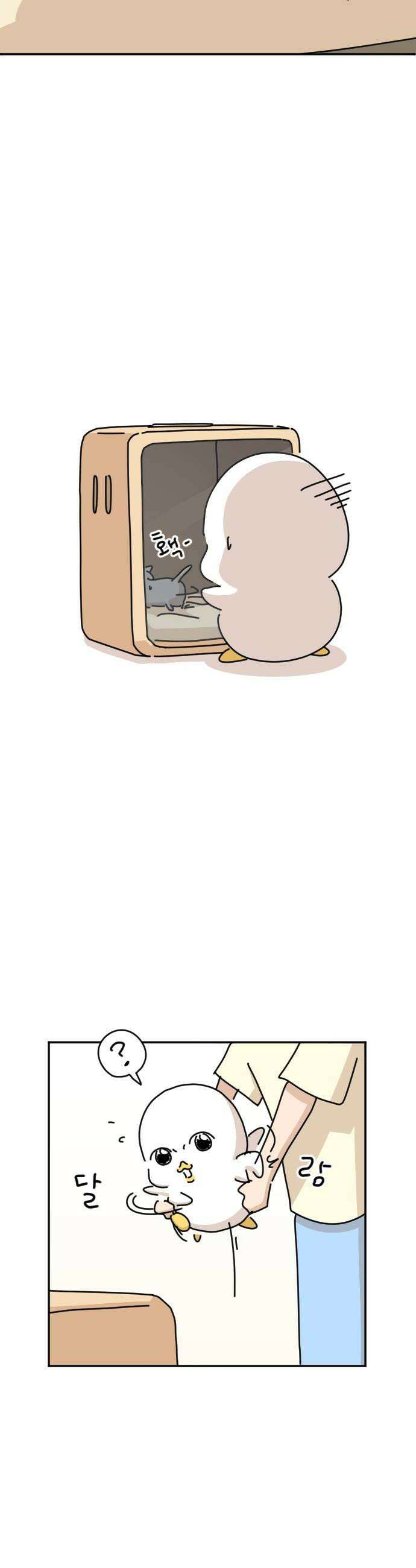 오리짱! 11화 함께 살게 되기까지완 18