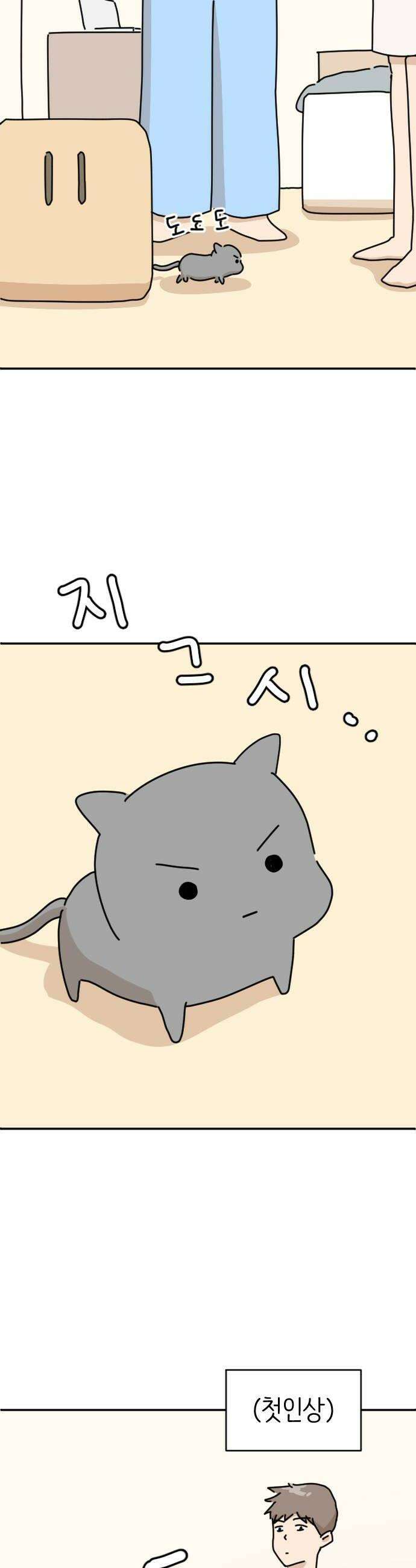 오리짱! 11화 함께 살게 되기까지완 24