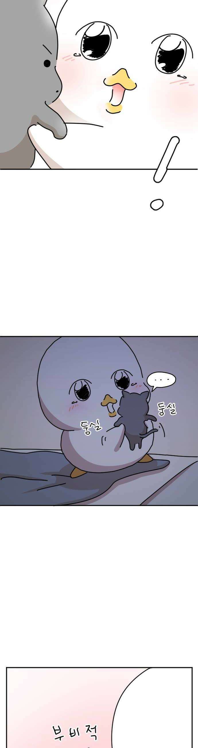 오리짱! 11화 함께 살게 되기까지완 38