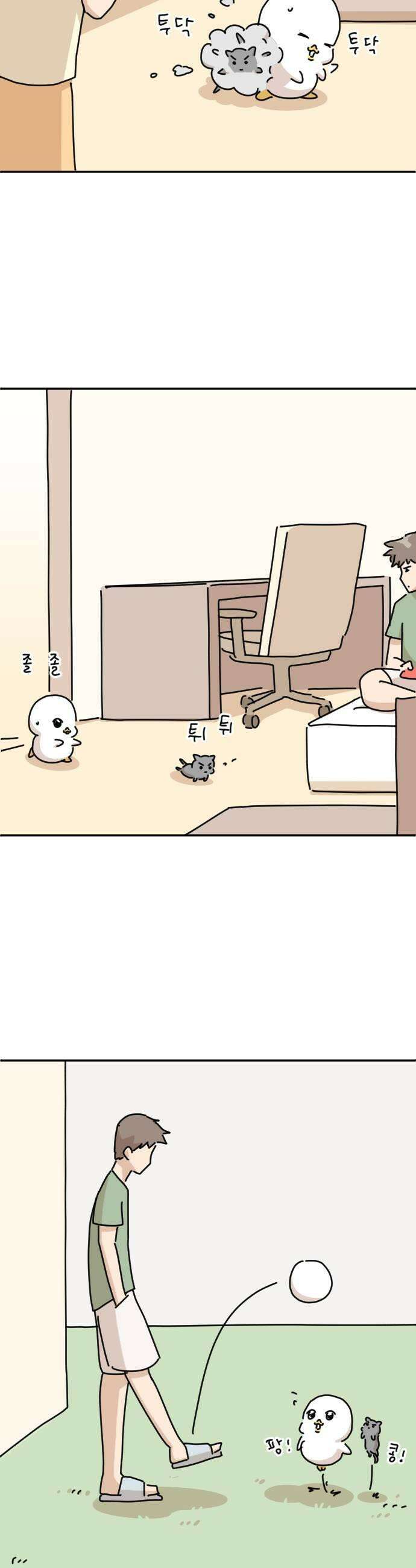 오리짱! 11화 함께 살게 되기까지완 47