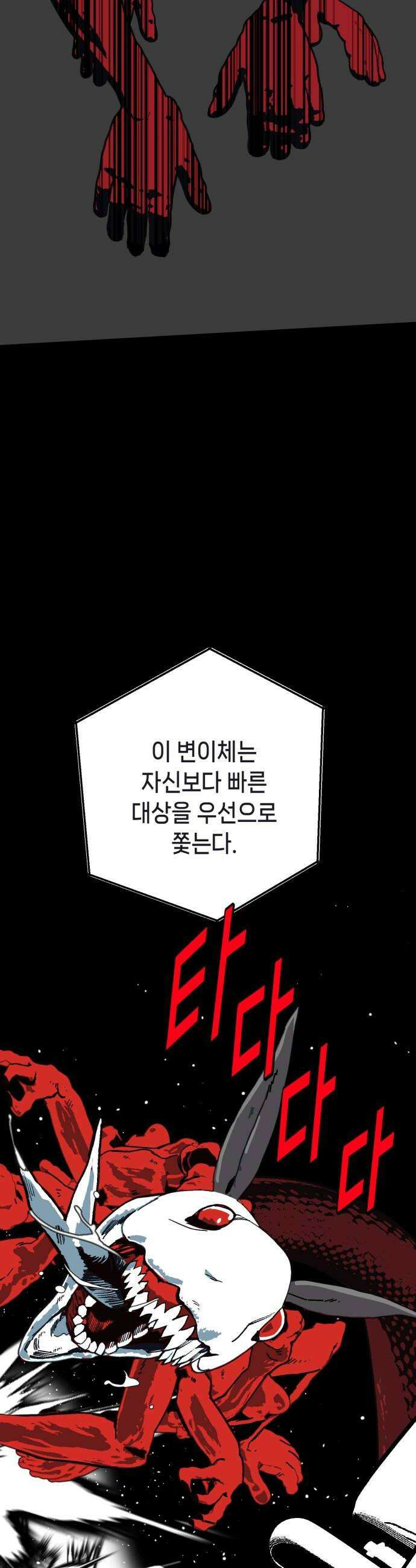 비터사이드 크렌베리스 030 길잡이 별8 16