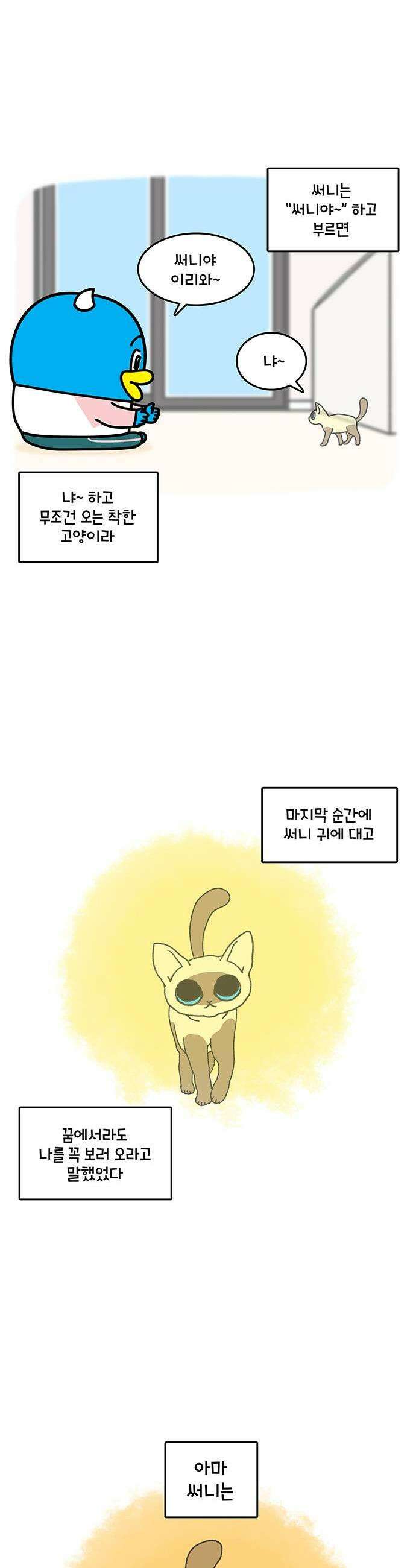 윌유메리미 시즌2 950화 써니야 잘 가 3