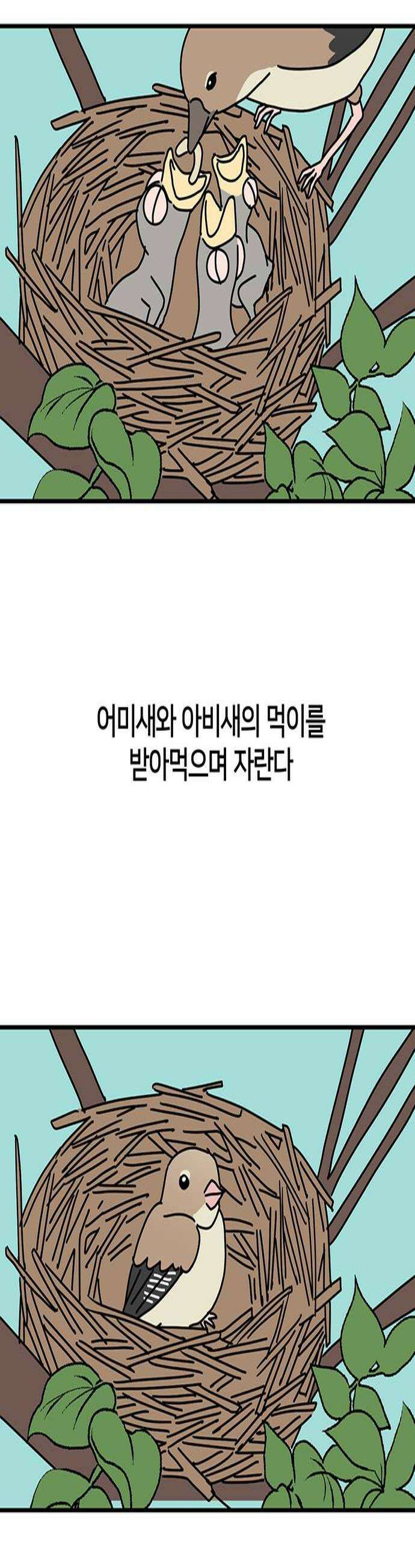 착한 여자 안선해 105화 둥지를 떠날 새2 2