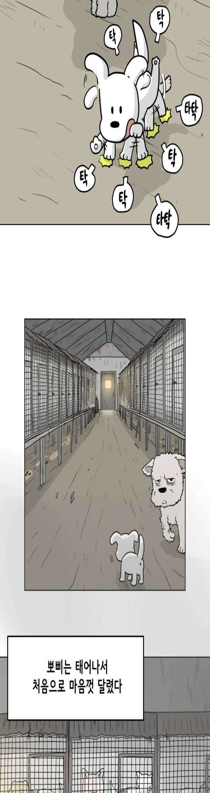 죽어 천국에 가다 75화 뽀삐 3
