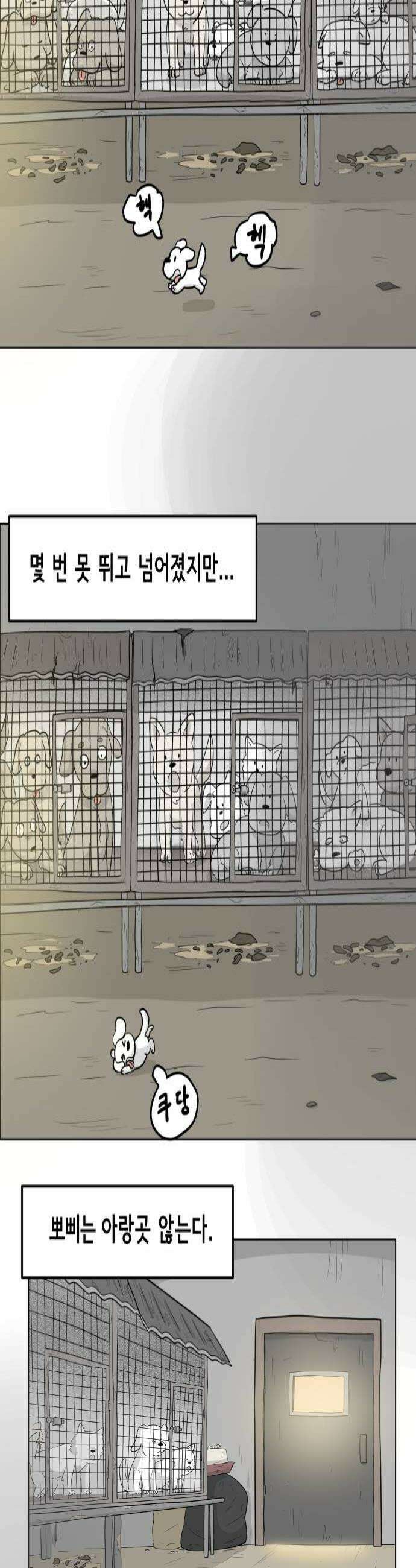죽어 천국에 가다 75화 뽀삐 4