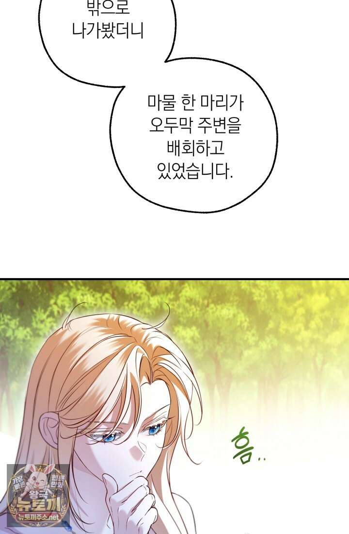 남주들과 외딴섬에 갇혀버렸다 41화 40
