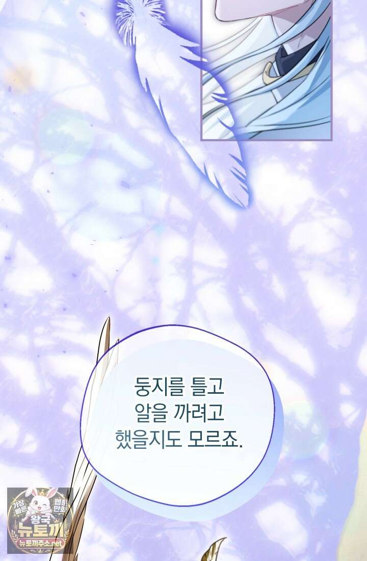 남주들과 외딴섬에 갇혀버렸다 41화 47