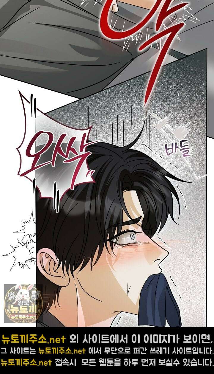 프렛리스 원더!! 37화 12