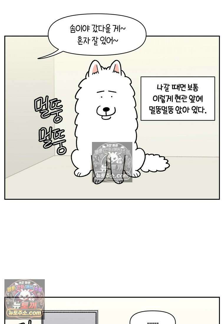극한견주 시즌2 41화 몰래침대 5